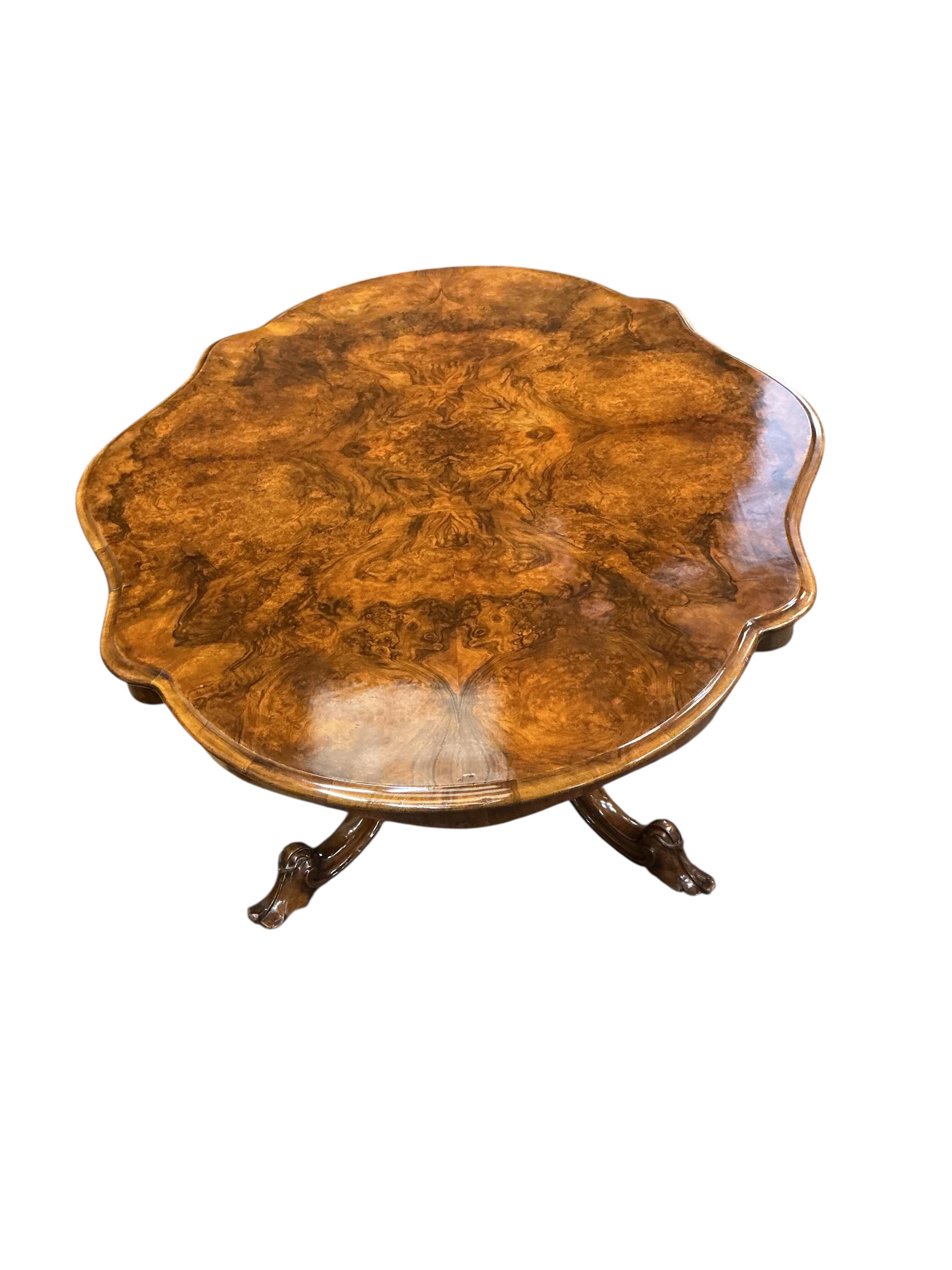 A Victorian oval burr walnut tilt top loo table, width 114cm, depth 146cm, height 74cm